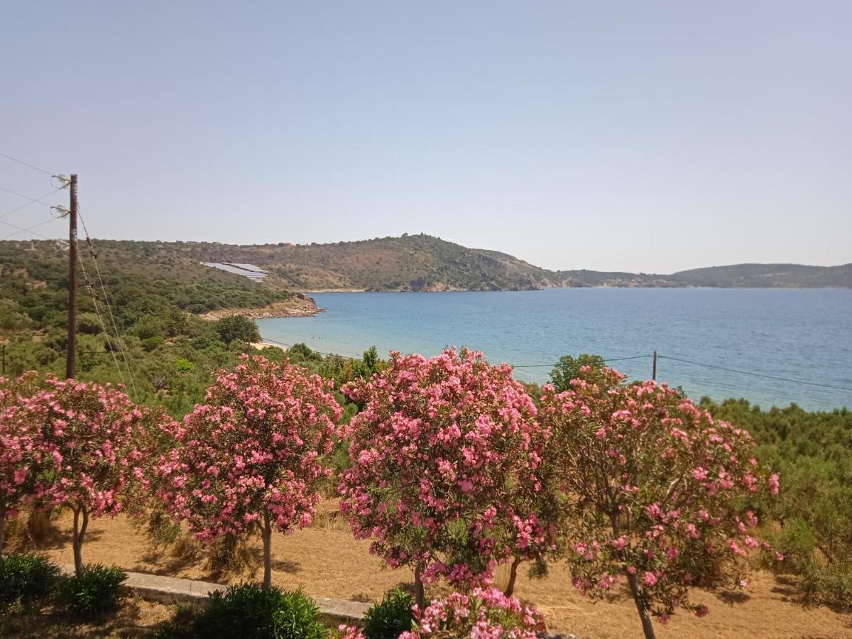 Skoutari Beach Hotel Bagian luar foto