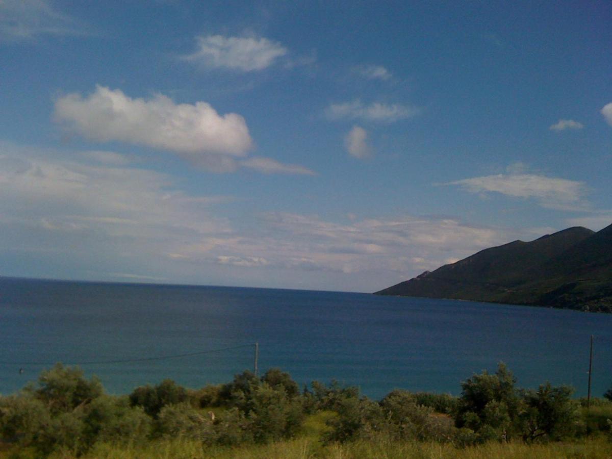 Skoutari Beach Hotel Bagian luar foto
