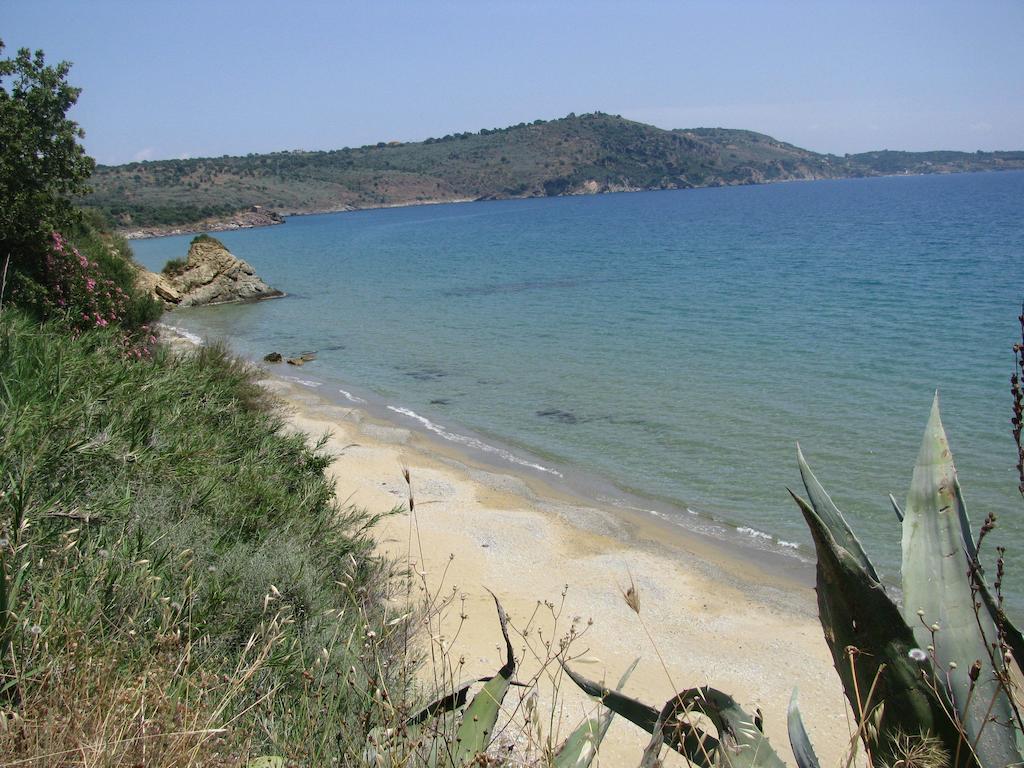 Skoutari Beach Hotel Bagian luar foto