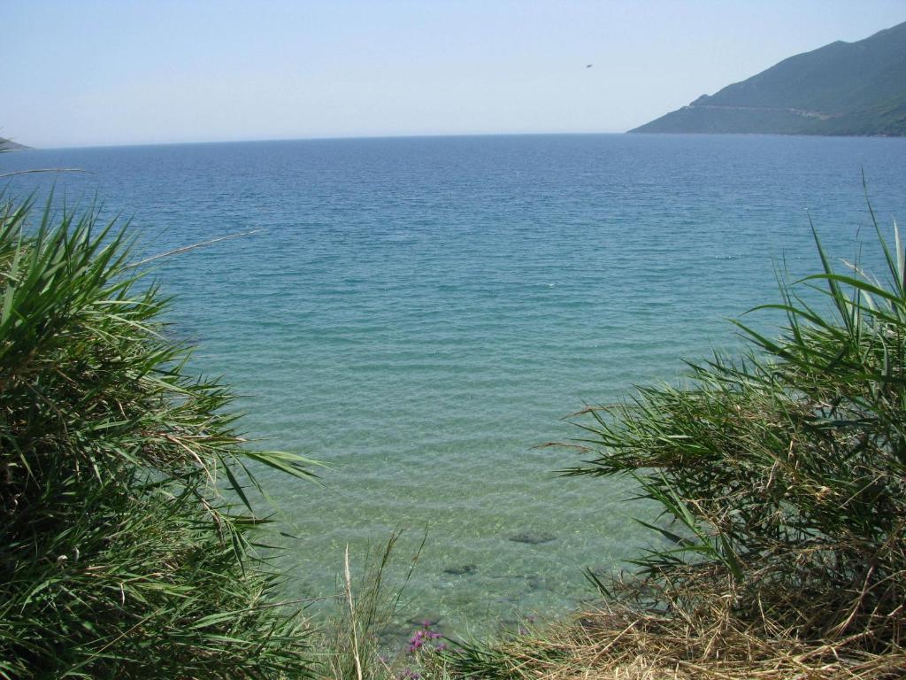 Skoutari Beach Hotel Bagian luar foto