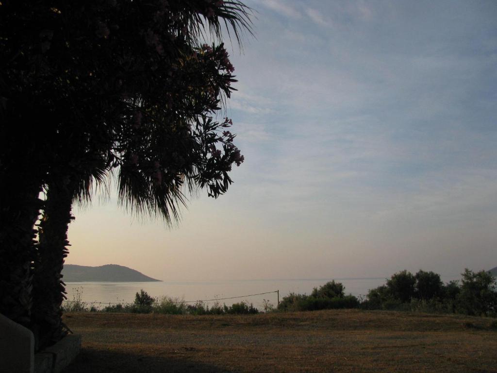 Skoutari Beach Hotel Bagian luar foto
