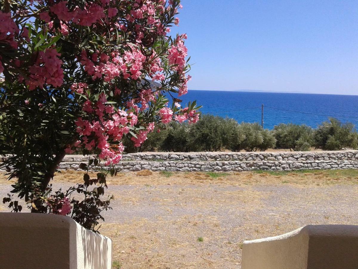 Skoutari Beach Hotel Bagian luar foto